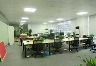 专业植物出租摆放