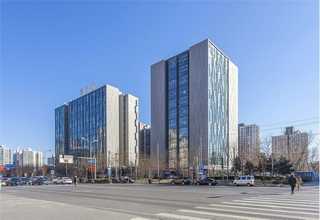 石狮大型绿植花卉