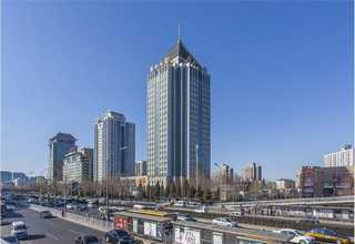 北仑区品质病虫害防治技术服务至上