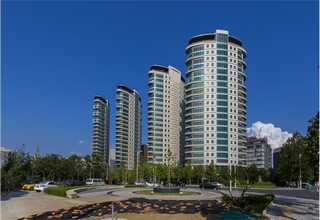 进口黑金沙厂家加工